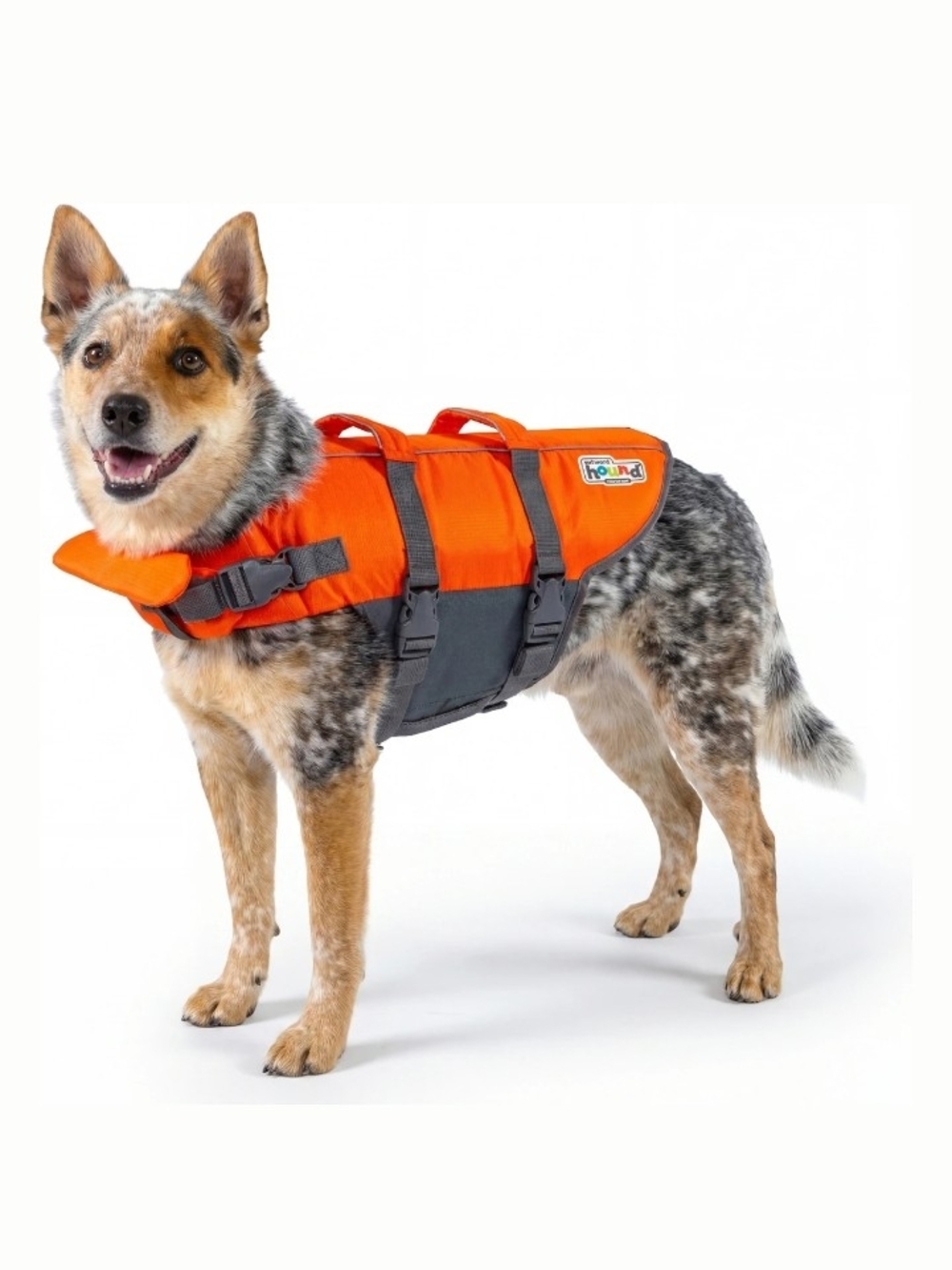 Outward Hound High-Visibility Orange & Gray Dog Life Jacket Size Medium